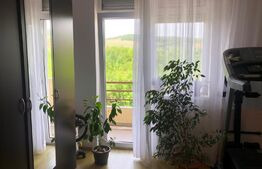 Apartament 2 camere, bloc nou, etaj 1, Cetate