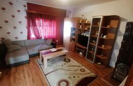 Casa 3 camere 1 bucatarie 1 baie 100 mp utili cu toate utilitatile Zona Cugir
