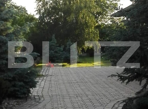 Casa de vânzare 3 camere Sebeș - 113091CV | BLITZ Alba Iulia | Poza9