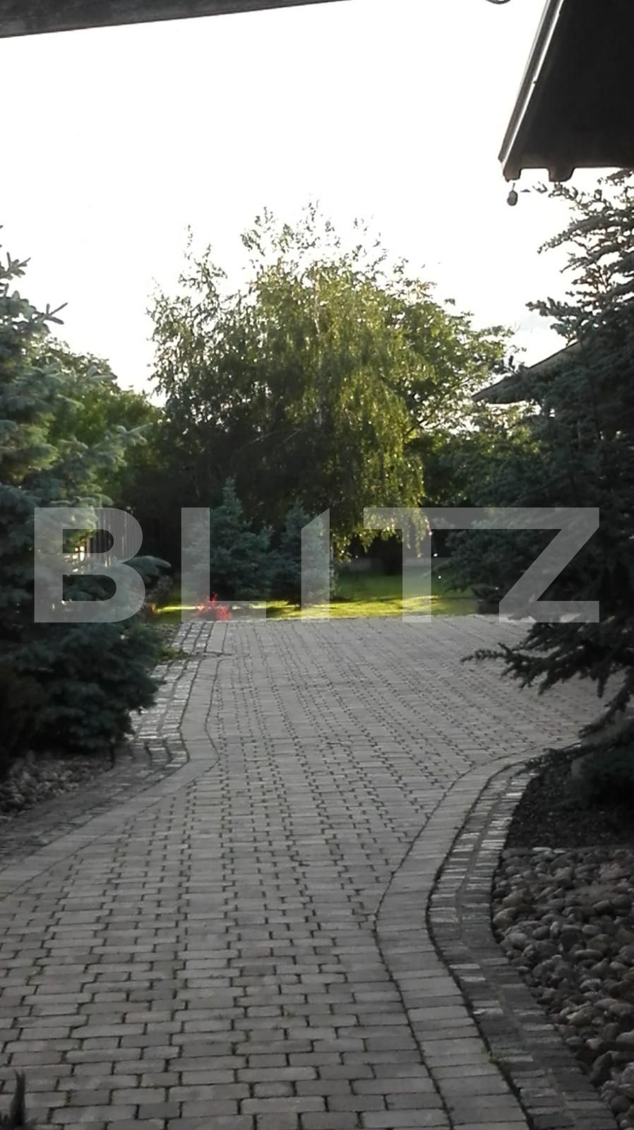 Casa de vânzare 3 camere Sebeș - 113091CV | BLITZ Alba Iulia | Poza9