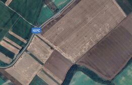 Teren intravilan 50000mp