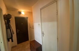 Apartament 2 camere, 56 mp, debara, Cetate-Bd. Transilvaniei