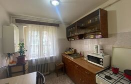 Apartament 2 camere, 56 mp, debara, Cetate-Bd. Transilvaniei