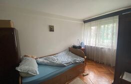 Apartament 2 camere, 56 mp, debara, Cetate-Bd. Transilvaniei