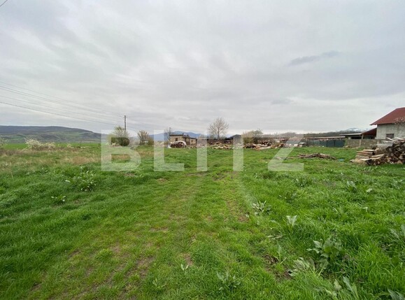Teren de vânzare Vest - 113439TV | BLITZ Alba Iulia | Poza1