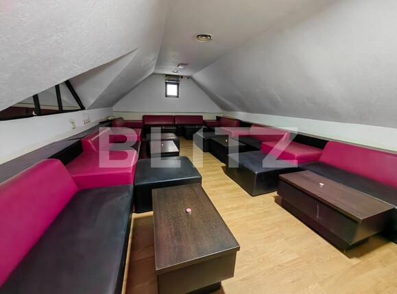 Spațiu comercial de vânzare Cetate - 113442SVC | BLITZ Alba Iulia | Poza3