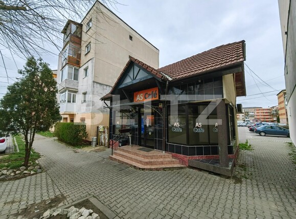 Spațiu comercial de vânzare Cetate - 113442SVC | BLITZ Alba Iulia | Poza1
