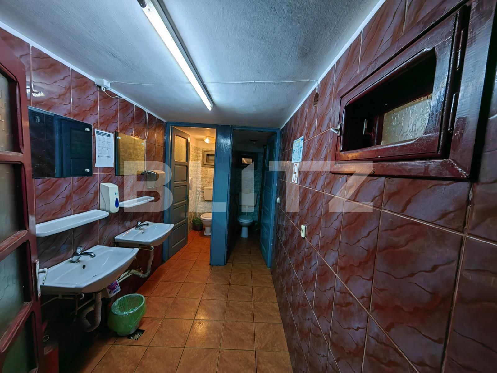 Spațiu comercial de vânzare Cetate - 113442SVC | BLITZ Alba Iulia | Poza5