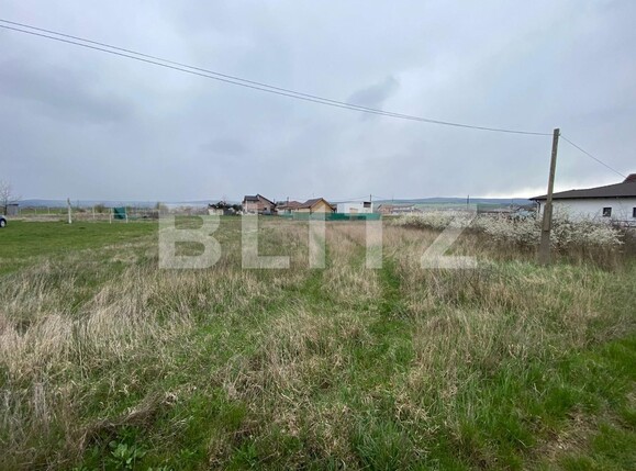 Teren de vânzare Partoș - 113451TV | BLITZ Alba Iulia | Poza1