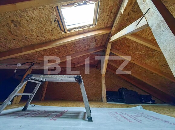 Casa de vânzare 3 camere Cetate - 113580CV | BLITZ Alba Iulia | Poza10