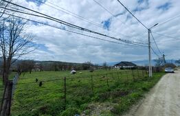 Teren intravilan 2417 mp, zona Oarda de Sus