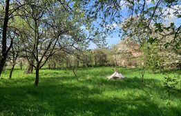 Casa individuala, 5000 mp teren, Vintu de Jos