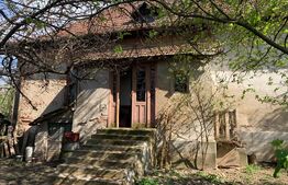 Casa individuala, 5000 mp teren, Vintu de Jos