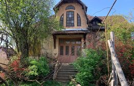 Casa individuala, 5000 mp teren, Vintu de Jos