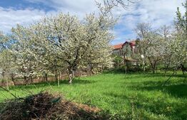 Casa individuala, 5000 mp teren, Vintu de Jos