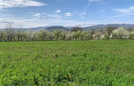 Casa individuala, 5000 mp teren, Vintu de Jos