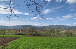 Casa individuala, 5000 mp teren, Vintu de Jos