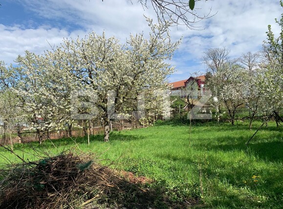 Casa de vânzare 3 camere Vinţu de Jos - 114092CV | BLITZ Alba Iulia | Poza5