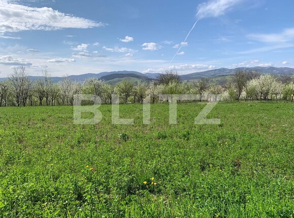 Casa de vânzare 3 camere Vinţu de Jos - 114092CV | BLITZ Alba Iulia | Poza6