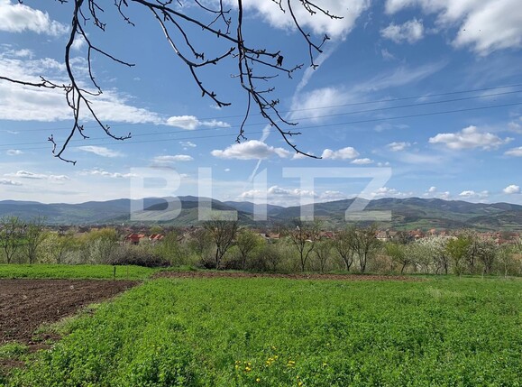 Casa de vânzare 3 camere Vinţu de Jos - 114092CV | BLITZ Alba Iulia | Poza4