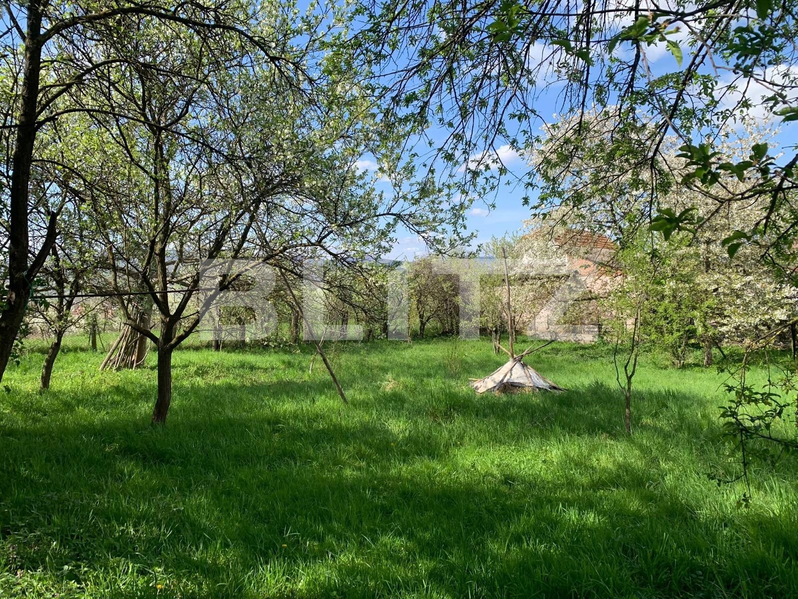 Casa de vânzare 3 camere Vinţu de Jos - 114092CV | BLITZ Alba Iulia | Poza7