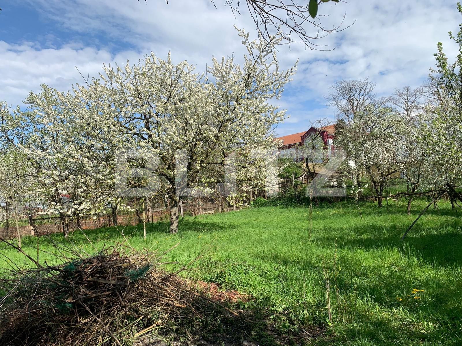 Casa de vânzare 3 camere Vinţu de Jos - 114092CV | BLITZ Alba Iulia | Poza5