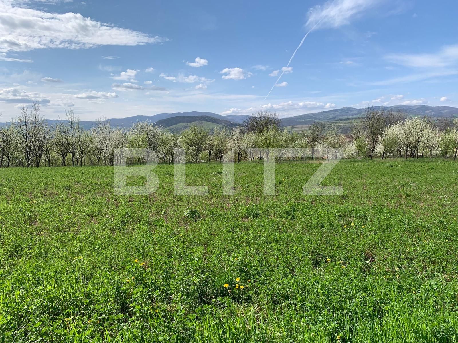 Casa de vânzare 3 camere Vinţu de Jos - 114092CV | BLITZ Alba Iulia | Poza6