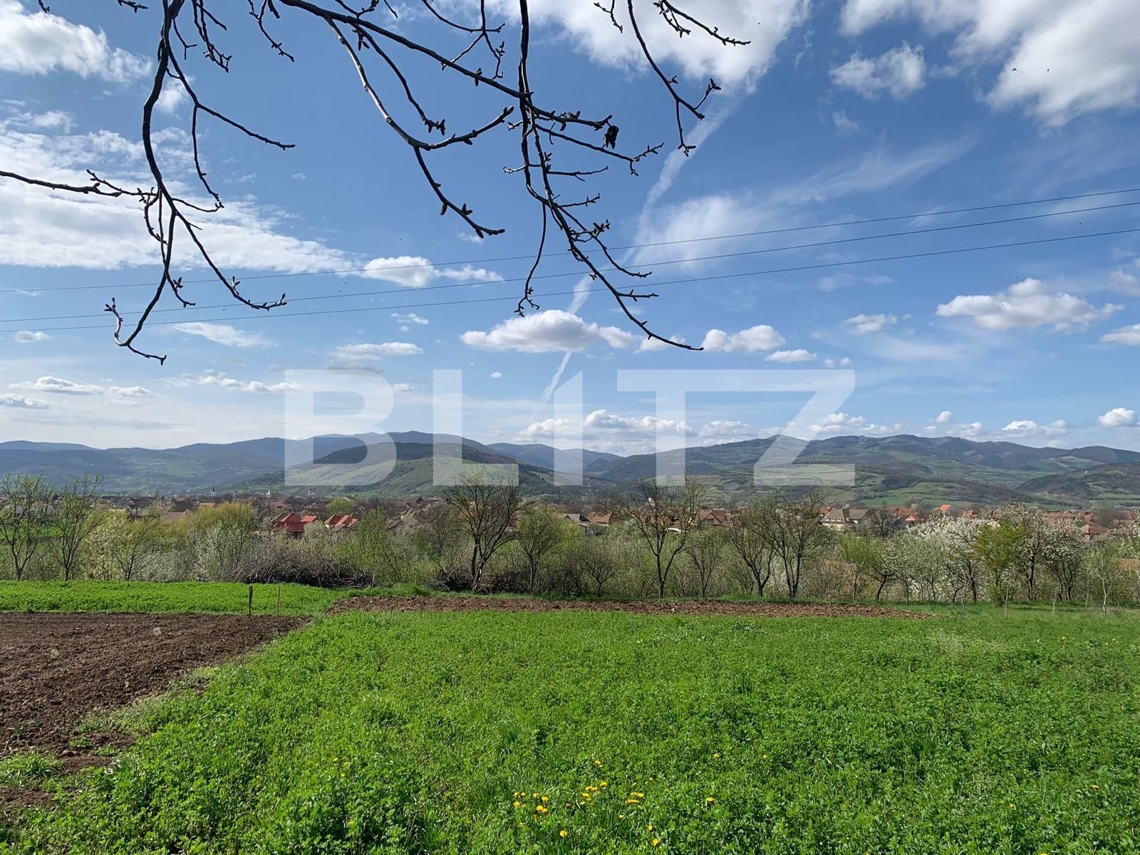 Casa de vânzare 3 camere Vinţu de Jos - 114092CV | BLITZ Alba Iulia | Poza4