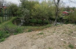 Teren Intravilan 2100 mp Micesti