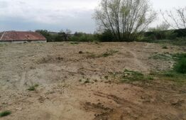 Teren Intravilan 2100 mp Micesti