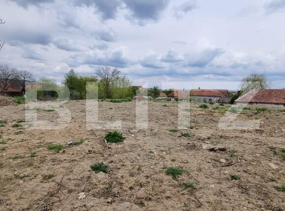 Teren de vânzare Micești - 114215TV | BLITZ Alba Iulia | Poza1