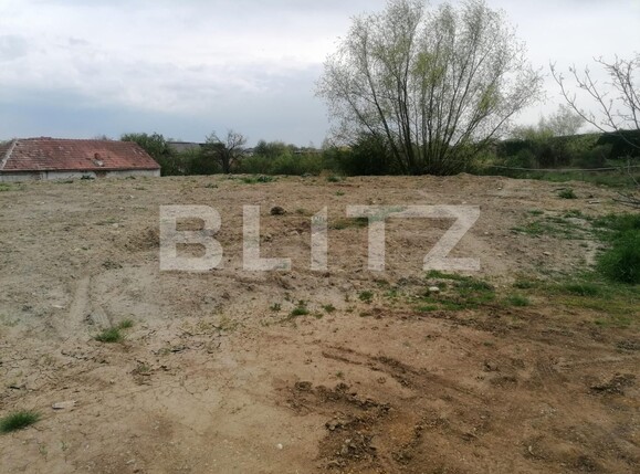 Teren de vânzare Micești - 114215TV | BLITZ Alba Iulia | Poza3