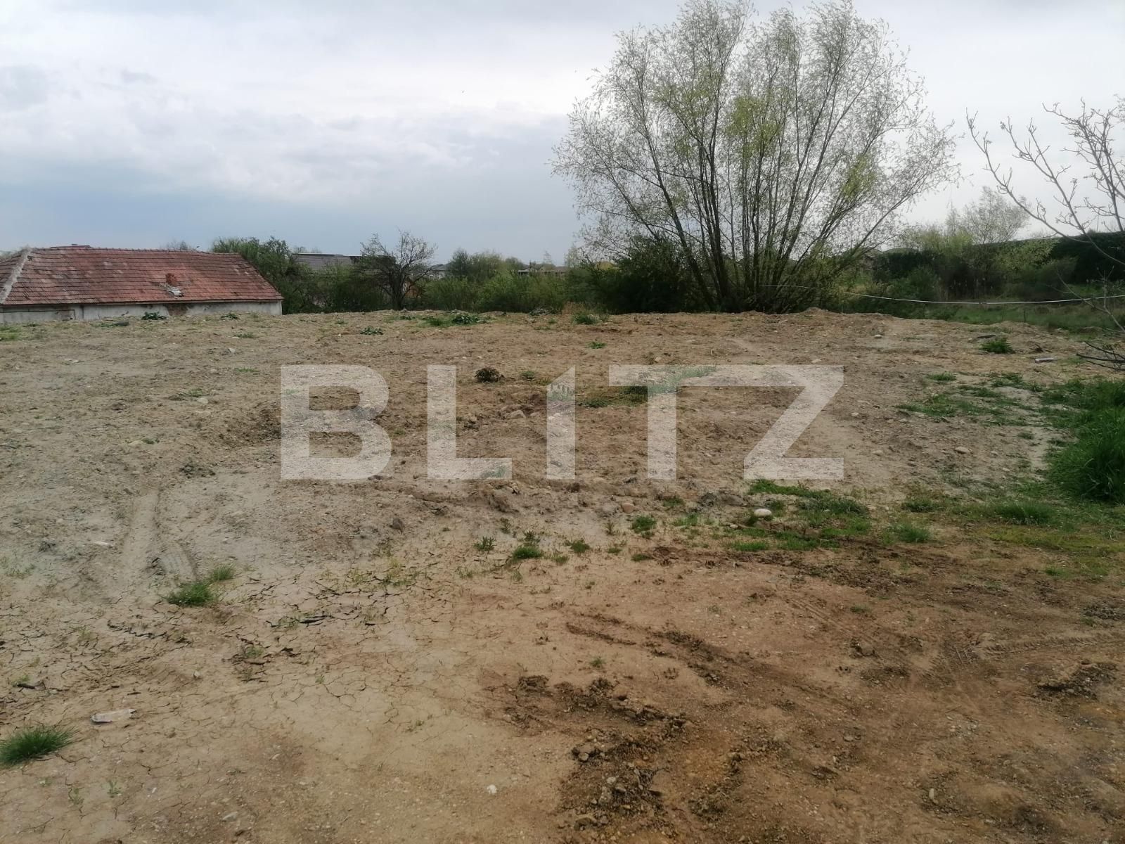 Teren de vânzare Micești - 114215TV | BLITZ Alba Iulia | Poza3