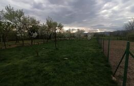 Casa 5 camere, 1 bucatarie 115mp utili pe un teren de 974 mp Zona Vintu de Jos