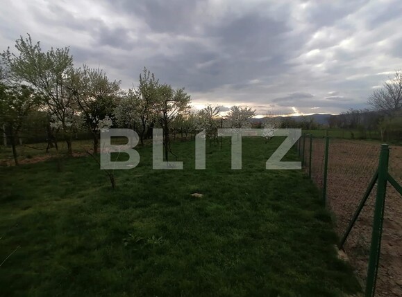 Casa de vânzare 5 camere Exterior Sud - 114309CV | BLITZ Alba Iulia | Poza15