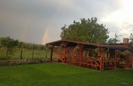 Casa individuala, 400 mp utili, 1100 mp teren, Paclisa