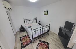 Casa de vacanta sau business la cheie la 14 km de Alba Iulia - Berghin