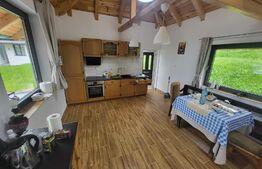 Casa de vacanta sau business la cheie la 14 km de Alba Iulia - Berghin