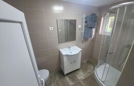 Casa de vacanta sau business la cheie la 14 km de Alba Iulia - Berghin