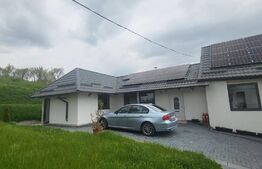 Casa de vacanta sau business la cheie la 14 km de Alba Iulia - Berghin