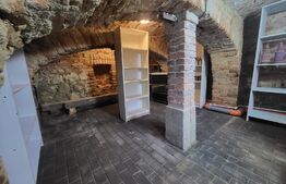 Casa de vacanta sau business la cheie la 14 km de Alba Iulia - Berghin