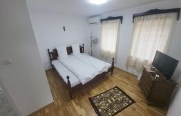 Casa de vacanta sau business la cheie la 14 km de Alba Iulia - Berghin
