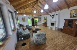 Casa de vacanta sau business la cheie la 14 km de Alba Iulia - Berghin