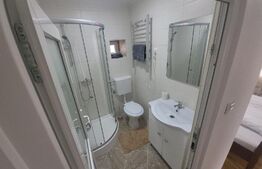 Casa de vacanta sau business la cheie la 14 km de Alba Iulia - Berghin