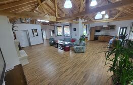 Casa de vacanta sau business la cheie la 14 km de Alba Iulia - Berghin