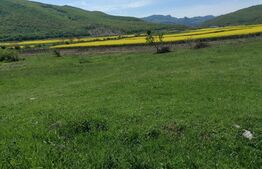 Teren intravilan 527 mp utilitatile in apropiere Intre Sard si Ampoita