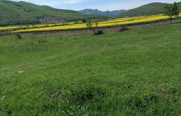 Teren intravilan 524 mp utilitatile in apropiere Intre Sard si Ampoita