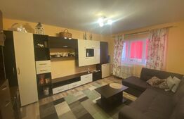 Apartament 3 camere, decomandat, Cetate-Mercur