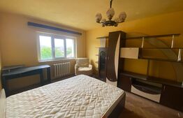 Apartament 2 camere, etaj 1, Tolstoi