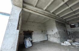 Hala cu anexe pentru multiple activități, zona Sebes